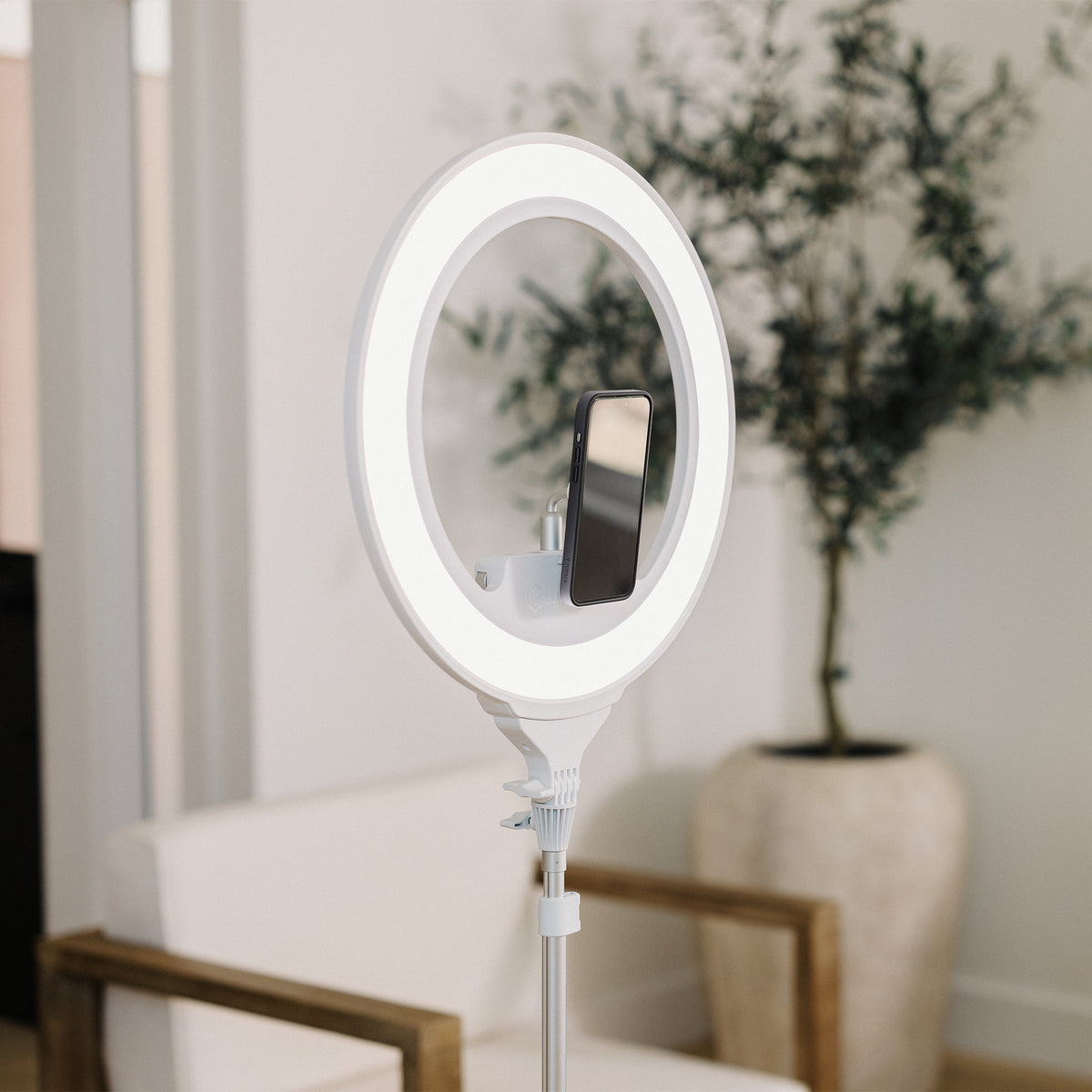 A white LED ring light on a stand with an attached phone holder, shown in a softly lit indoor room with a chair and potted plant in the background.